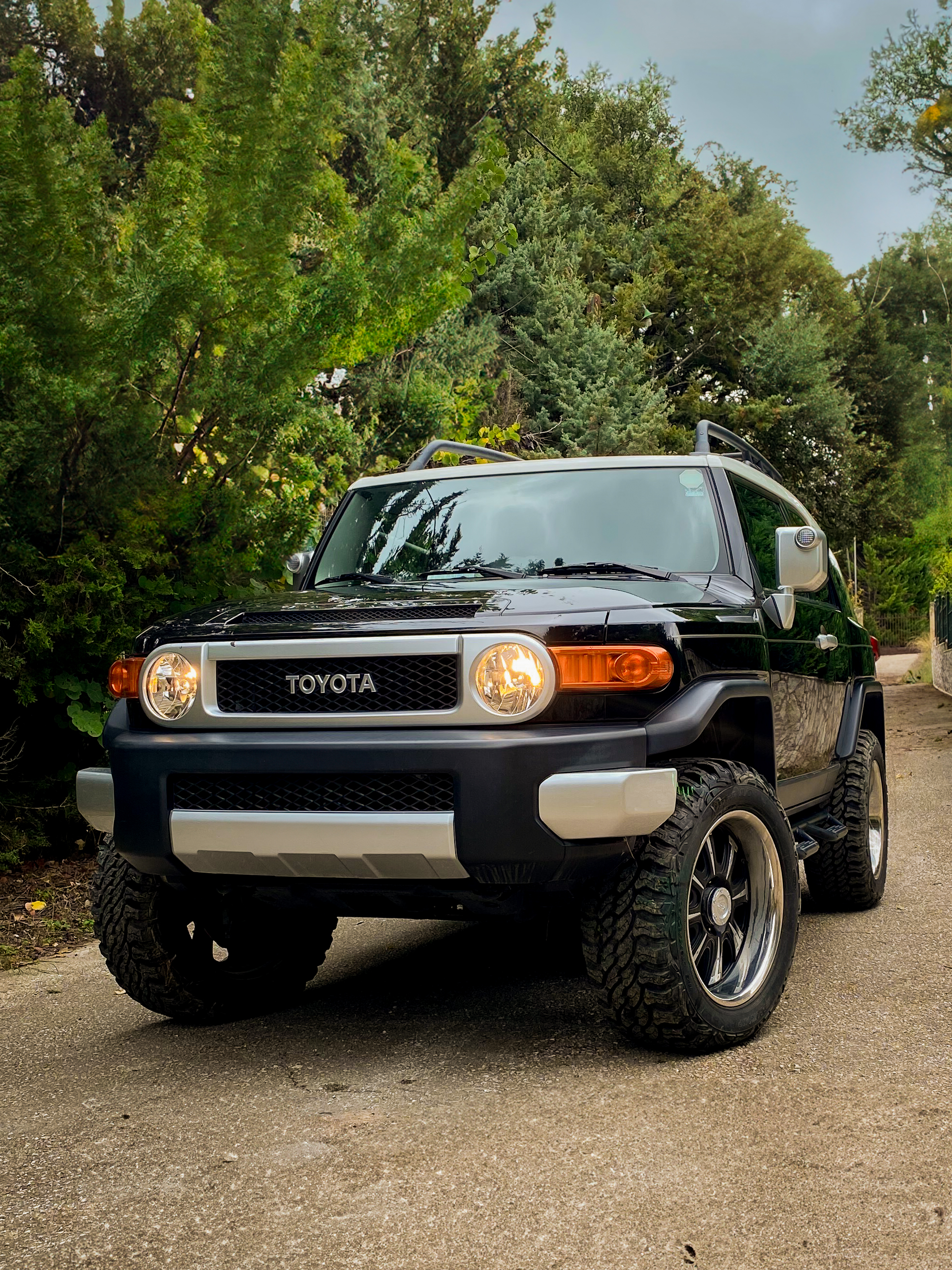 Toyota  Fj 2002